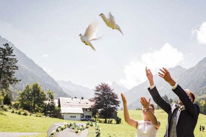 Hochzeitstauben artgerecht gehalten