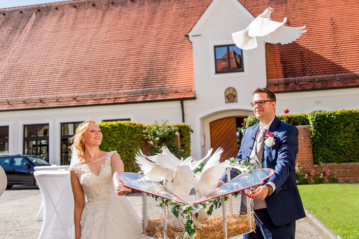 Und los gehts: alle Hochzeitstauben heben sich in die Lüfte
