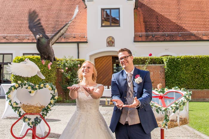 Unsere Hochzeitstauben werden artgerecht gehalten und behandelt