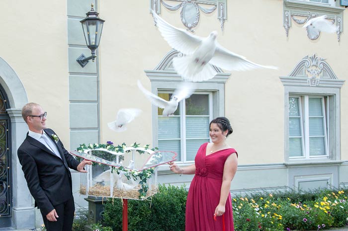 Hochzeitstauben als perfektes Hochzeitsgeschenk