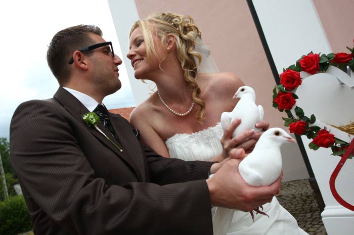 Hochzeitstauben als perfektes Hochzeitsgeschenk