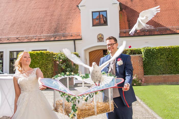 Auffliegende Hochzeitstauben